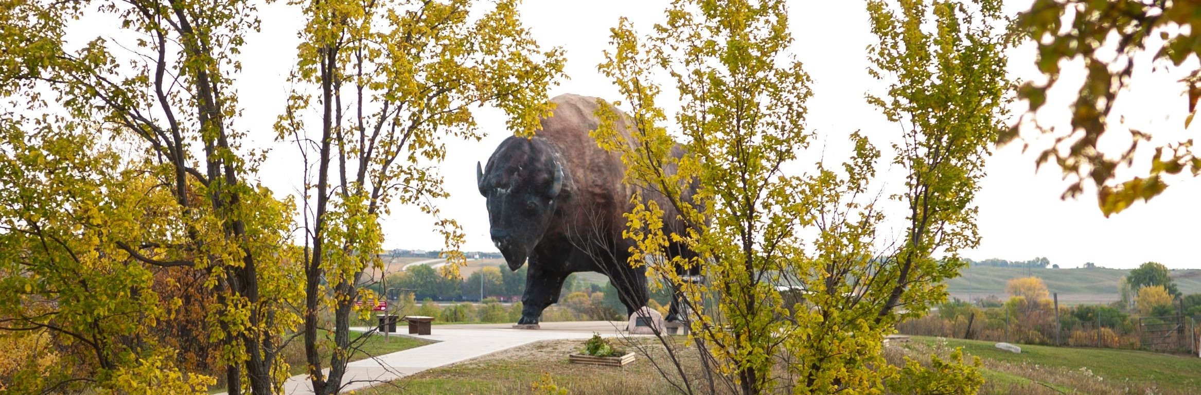 large bison statue