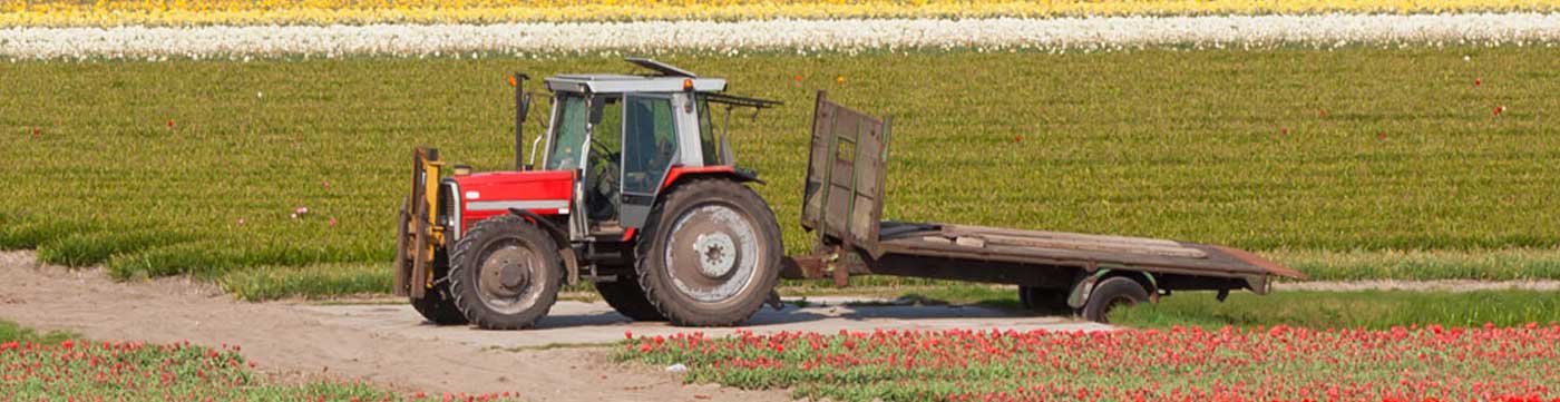 red tracktor in field