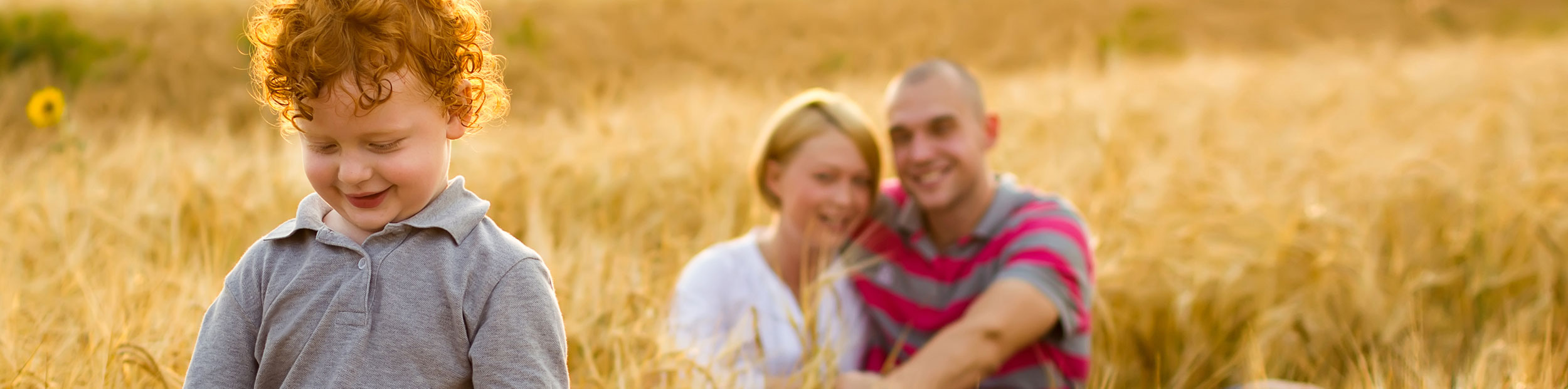 family in a golden field